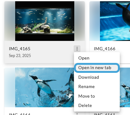 Screenshot 2025-10-02 102246.png