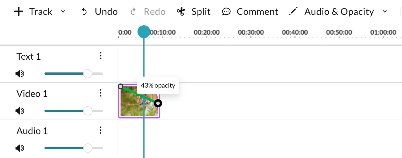 Close-up example of how to edit opacity of a clip on your editing timeline in WeVideo. 
