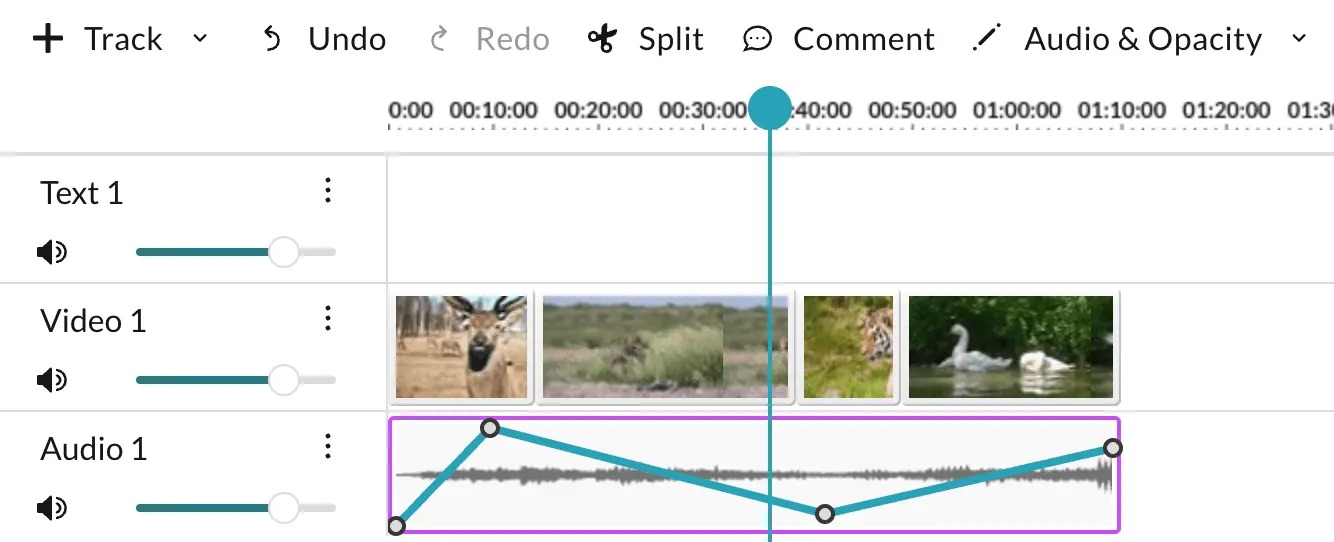 Adjusting a clip's audio levels on the timeline in WeVideo. 