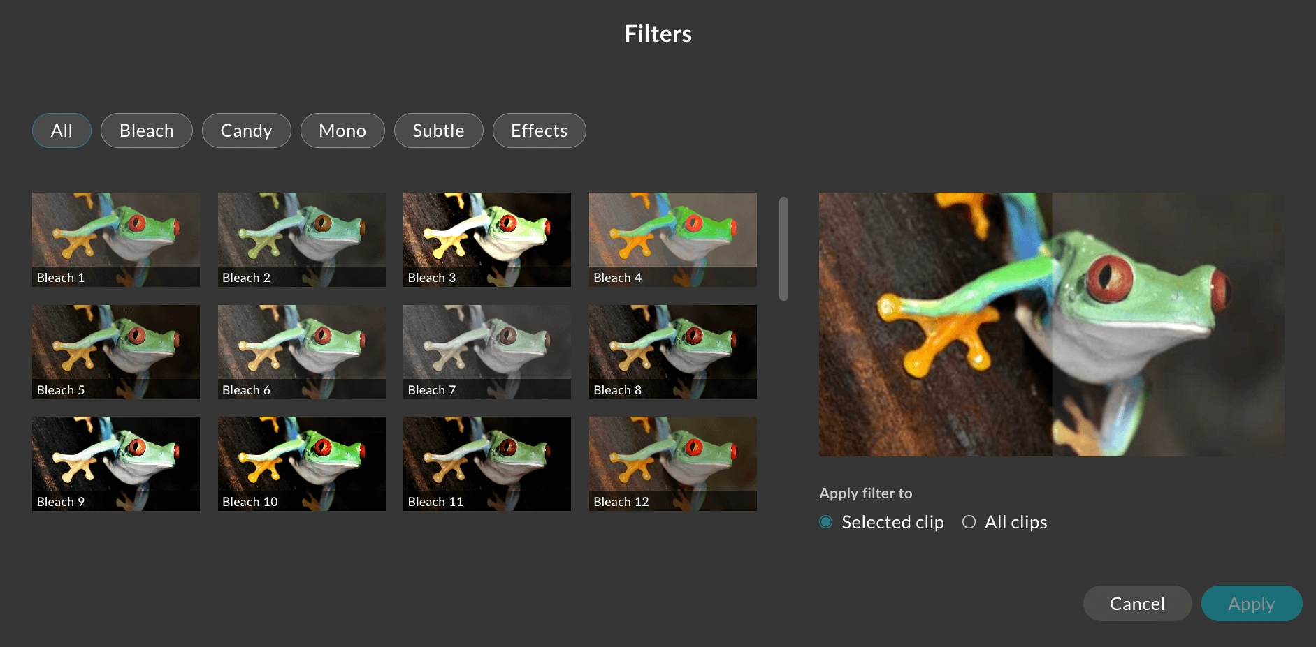 Filter options in the WeVideo Simplified Editor. 