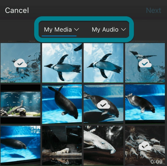 Browse the media from the device.