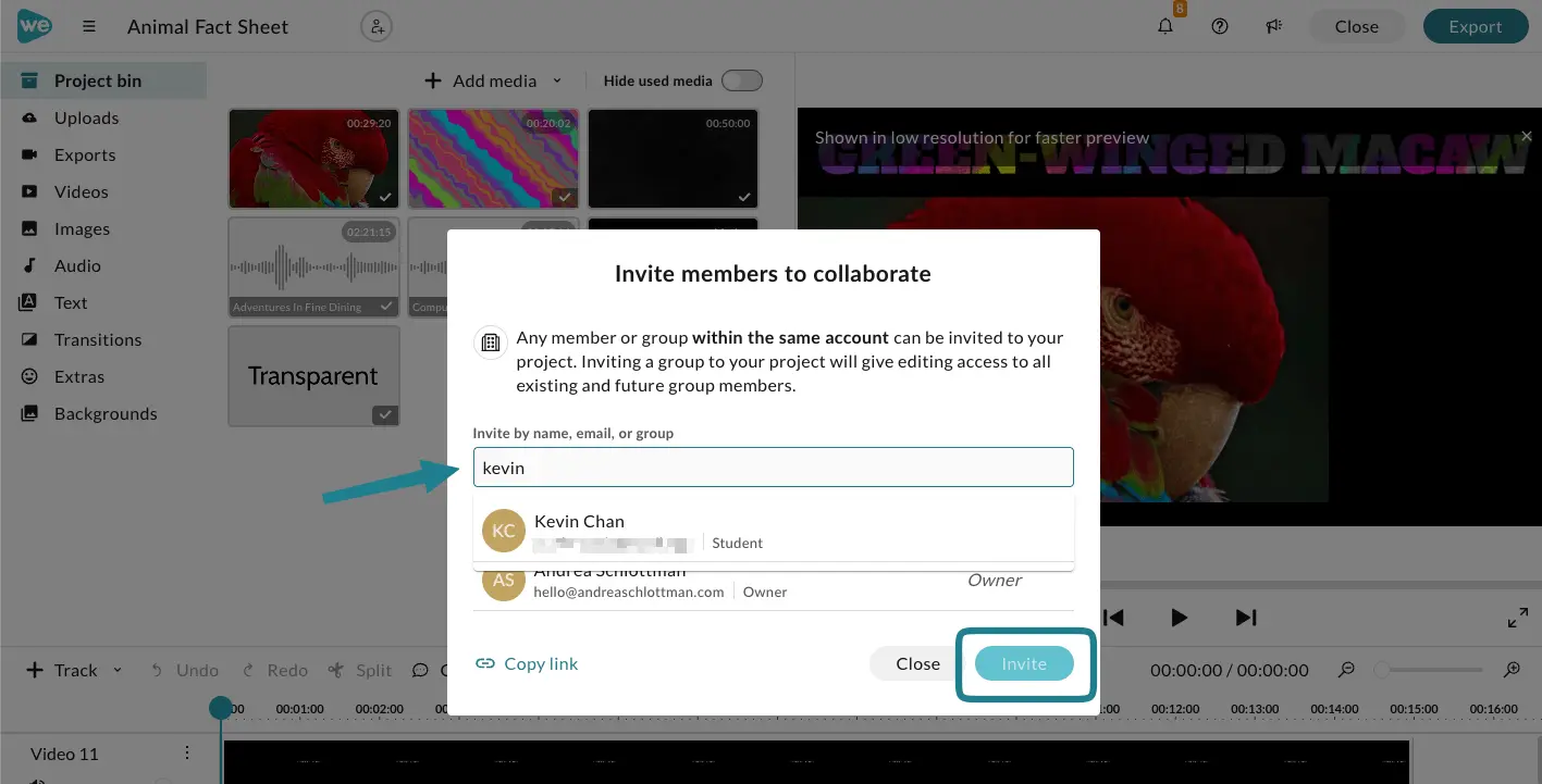 The email input section for inviting collaborators to the project.