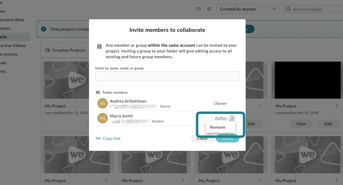 The remove access option in the collaborator panel.