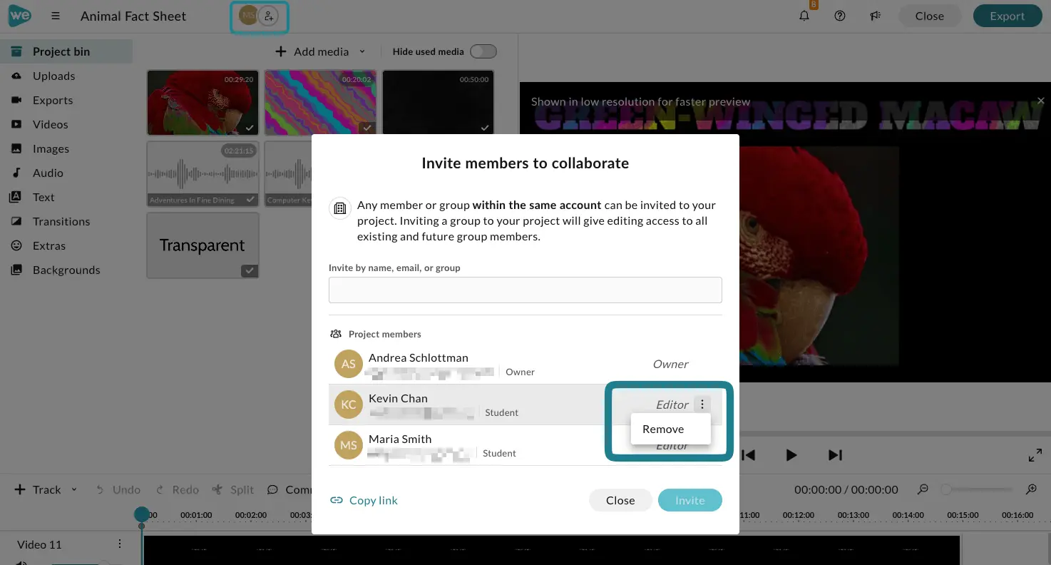 The remove access option in the invite collaboration panel.
