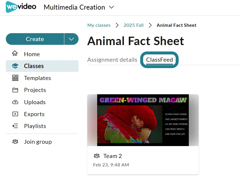 The ClassFeed option at the top of the assignment details page.