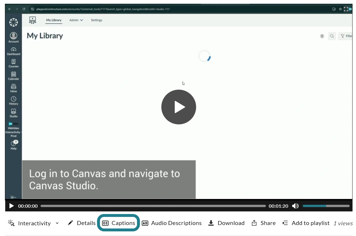 The captions option for the exported project.