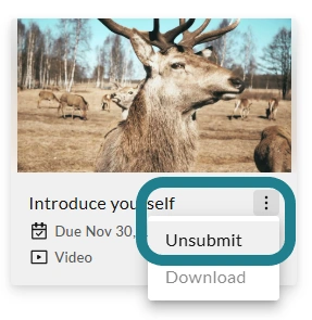 The unsubmit option in the assignment action menu.