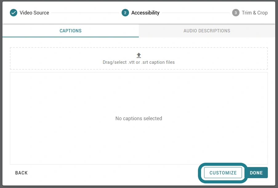 The captions tab for the imported video.