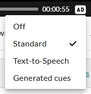 The available audio description options in the player.