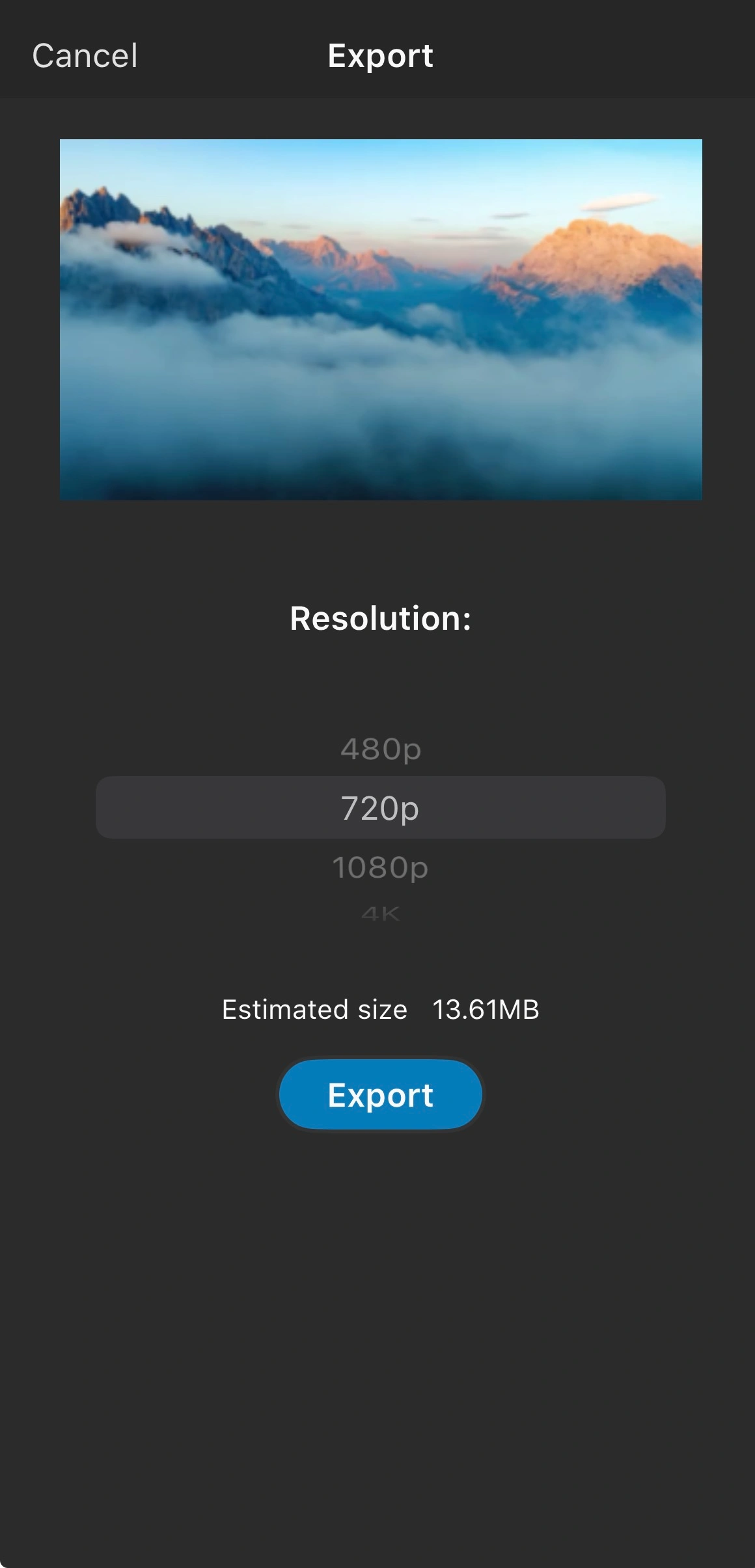 The export options for the project.
