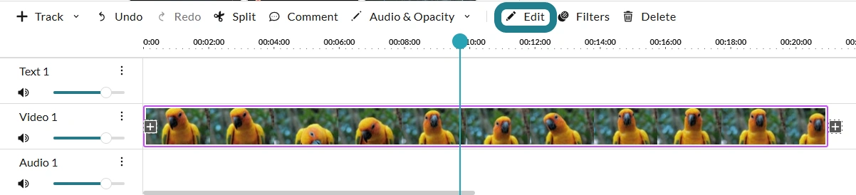 The edit option for the selected clip