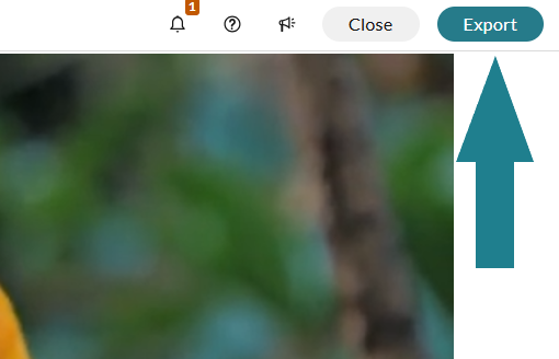 The export button in the video editor