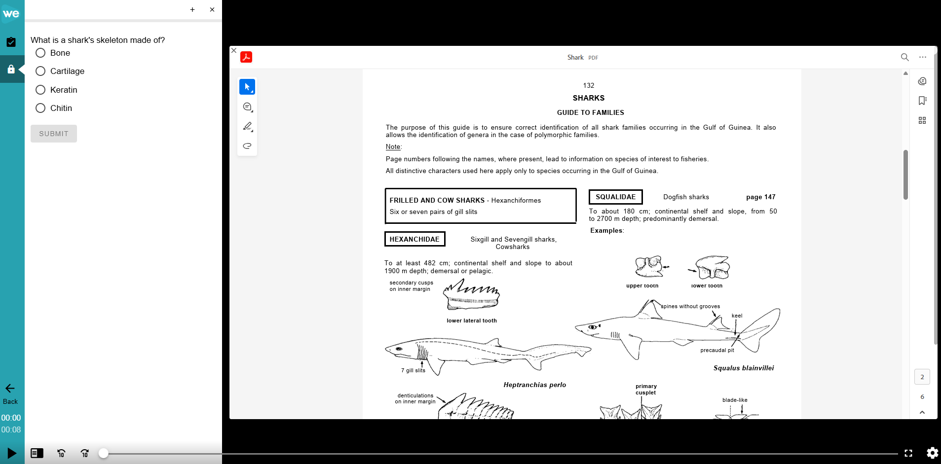 The learner's view for the text-based interactive video