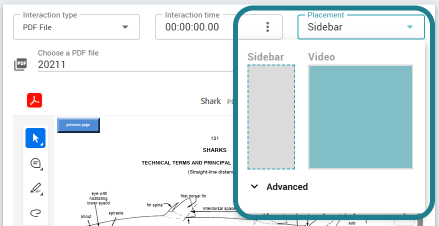 Adjust the placement to cover the entire video.