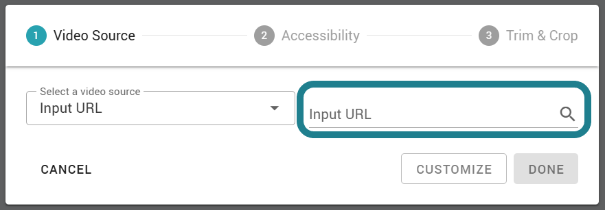 Paste the video URL to the input URL section.