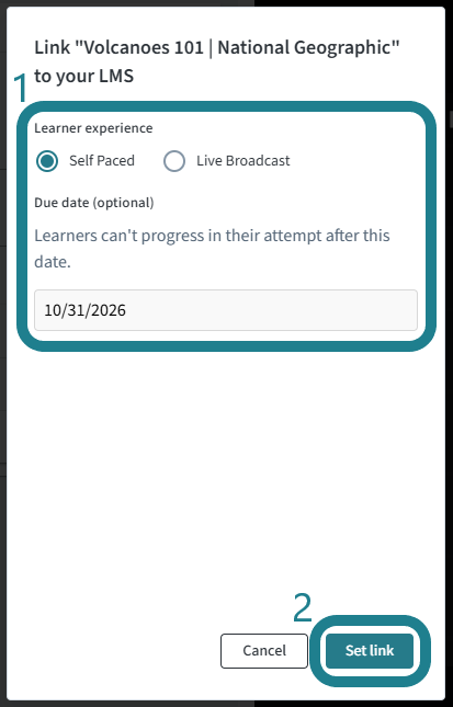 Adjust the assignment settings and click Set Link