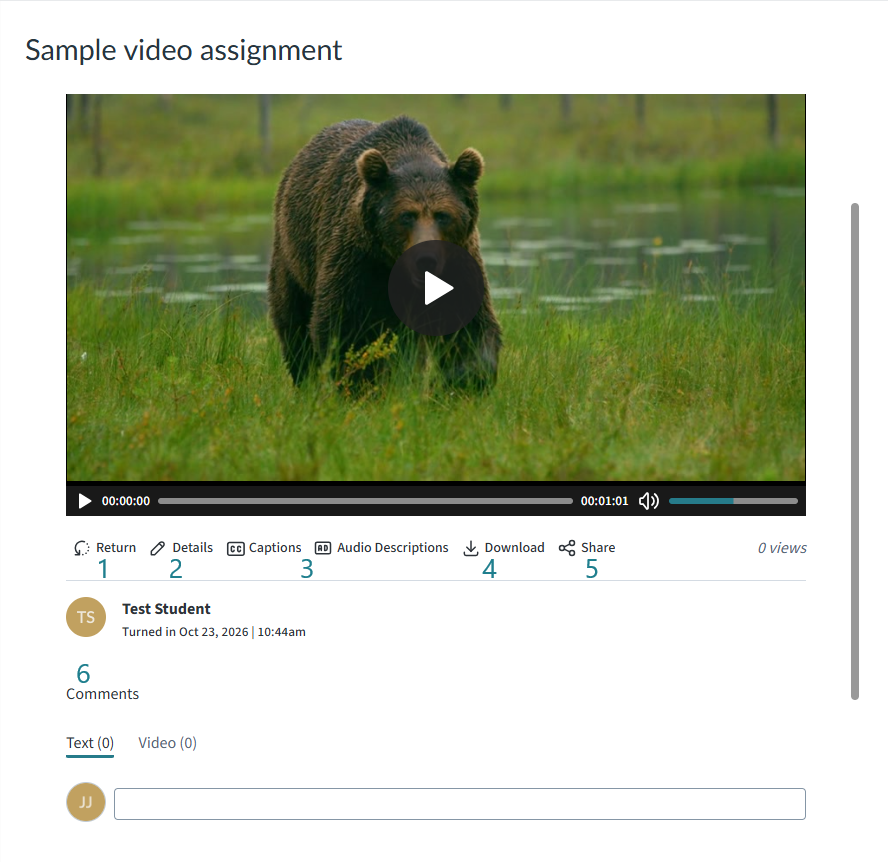 Click on the student's submission to view it in Canvas.