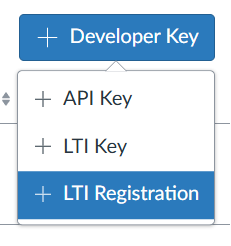 Select the LTI registration option.